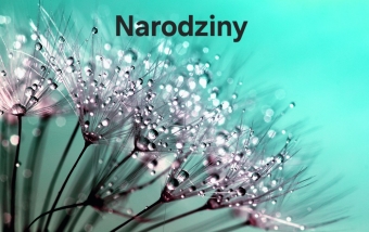 "NARODZINY"  webiner do odsłuchania